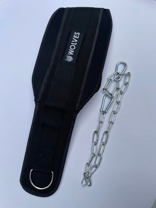 Dip Belt